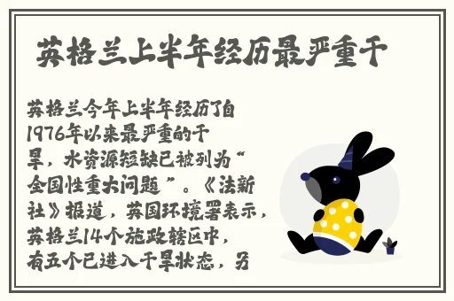 Isp点这里发车了